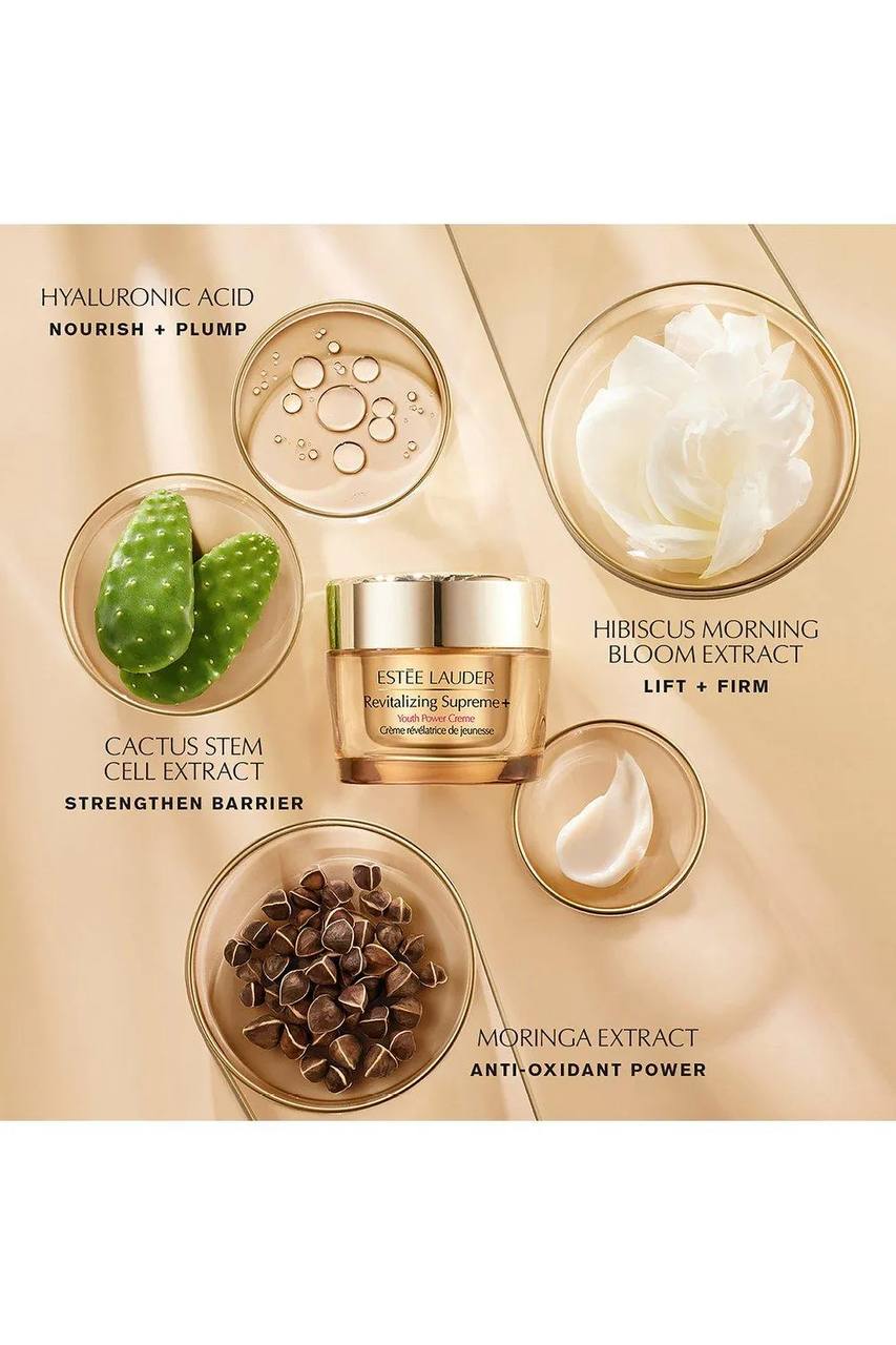 Estee Lauder Essential Set - الصورة 5